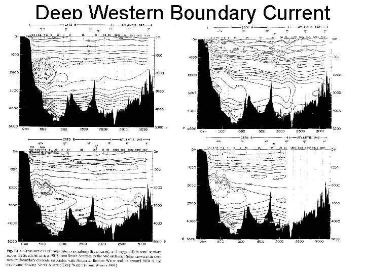 Deep Western Boundary Current 