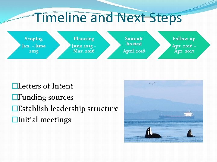 Timeline and Next Steps Scoping Jan. – June 2015 Planning June 2015 – Mar.