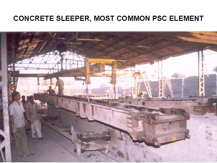 CONCRETE SLEEPER, MOST COMMON PSC ELEMENT 