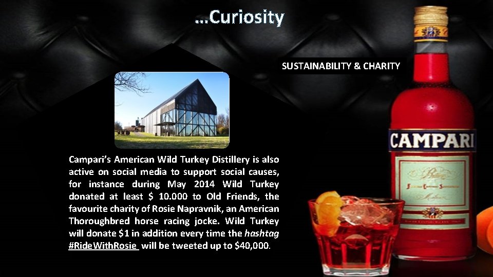 …Curiosity SUSTAINABILITY & CHARITY Campari’s American Wild Turkey Distillery is also active on social …Curiosity SUSTAINABILITY & CHARITY Campari’s American Wild Turkey Distillery is also active on social