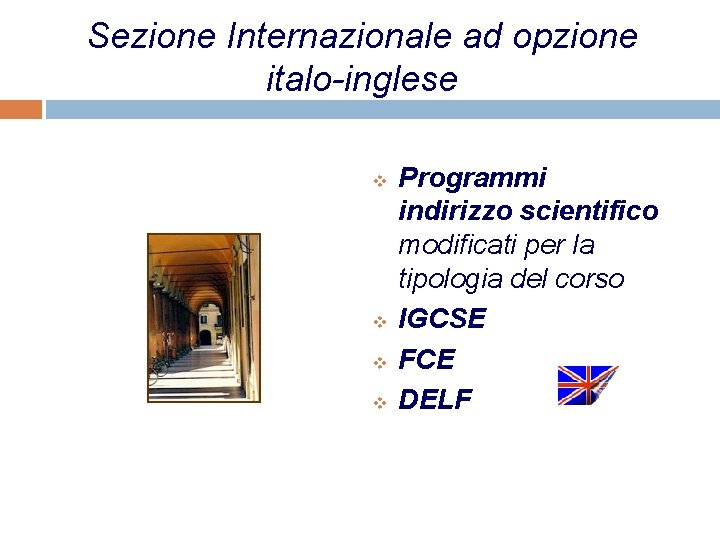 Sezione Internazionale ad opzione italo-inglese v v Programmi indirizzo scientifico modificati per la tipologia