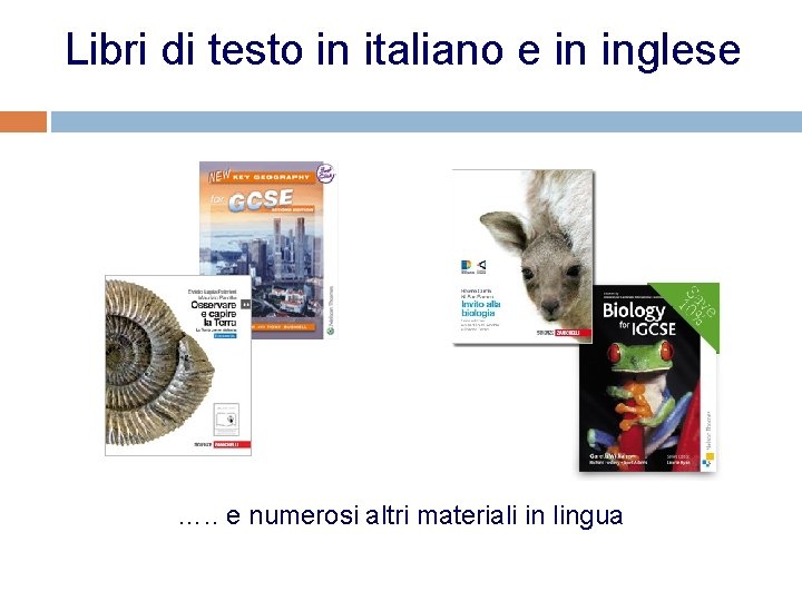 Libri di testo in italiano e in inglese …. . e numerosi altri materiali