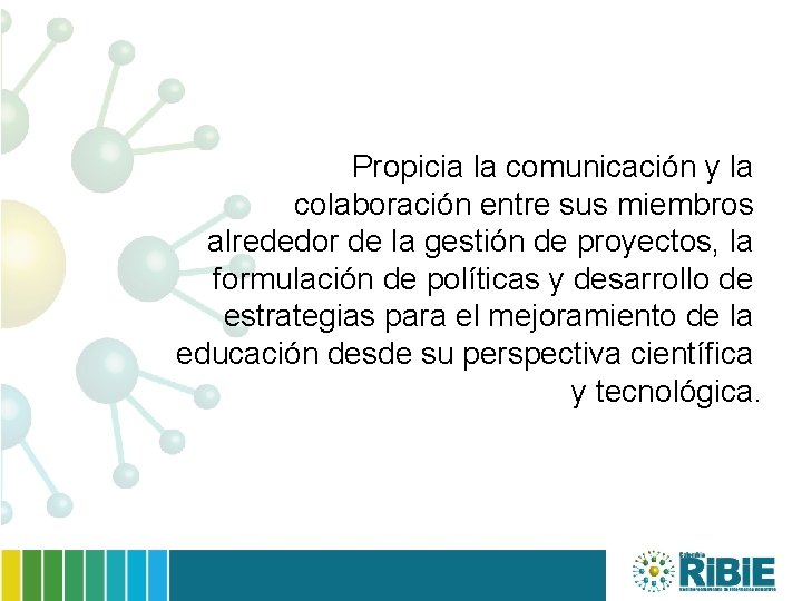 Propicia la comunicación y la colaboración entre sus miembros alrededor de la gestión de