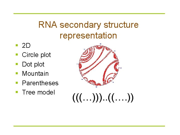 RNA secondary structure representation § § § 2 D Circle plot Dot plot Mountain