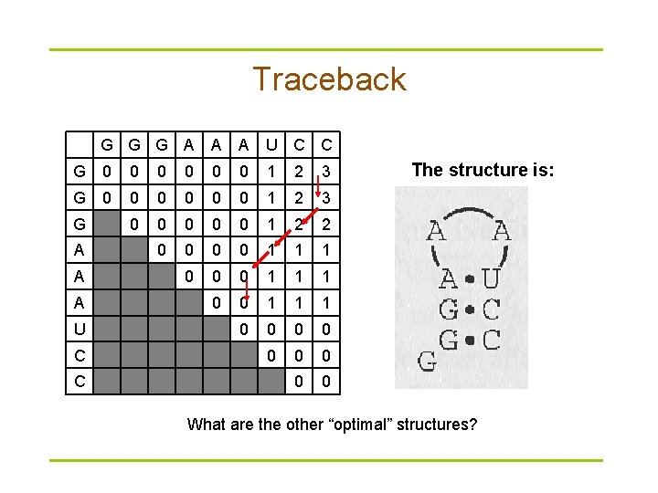 Traceback G G G A A A U C C G 0 0 0