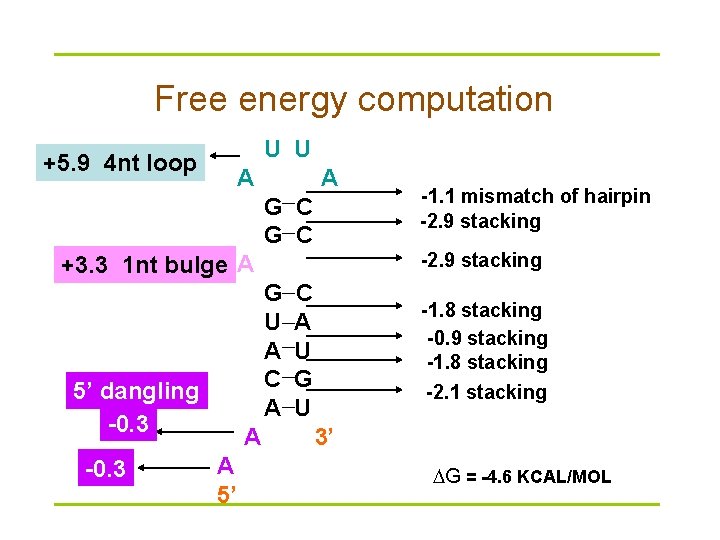 Free energy computation U U +5. 9 4 nt loop A A G C