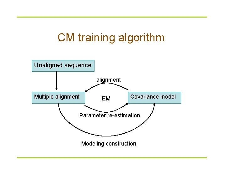 CM training algorithm Unaligned sequence alignment Multiple alignment EM Covariance model Parameter re-estimation Modeling