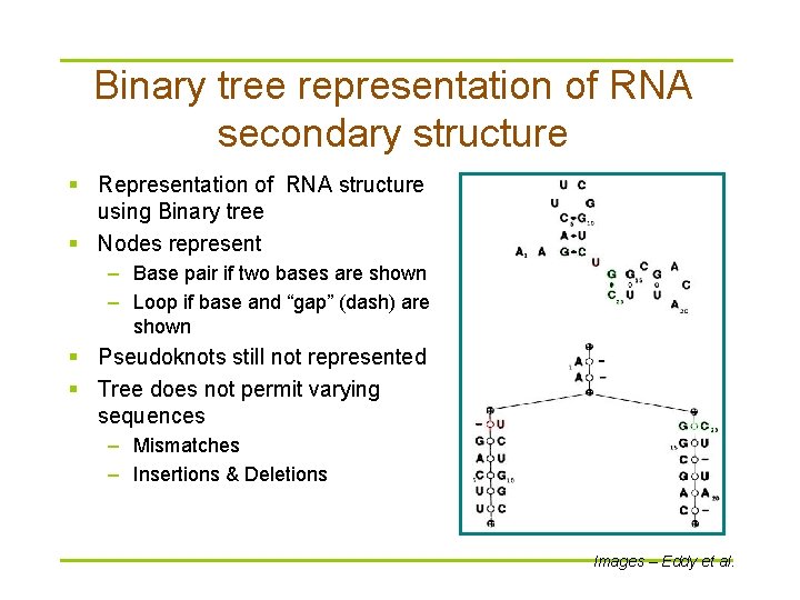 Binary tree representation of RNA secondary structure § Representation of RNA structure using Binary