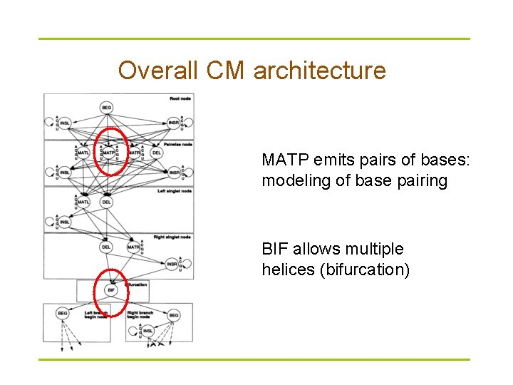 Overall CM architecture MATP emits pairs of bases: modeling of base pairing BIF allows