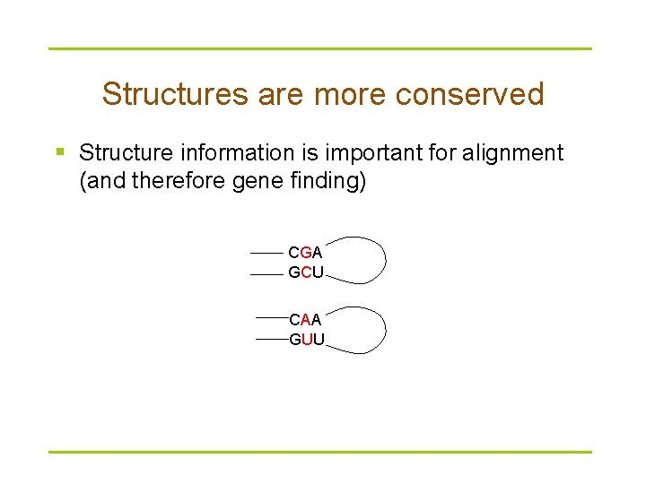 Structures are more conserved § Structure information is important for alignment (and therefore gene
