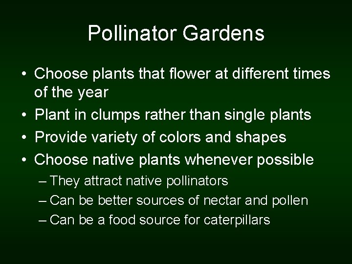 Pollinator Gardens • Choose plants that flower at different times of the year •