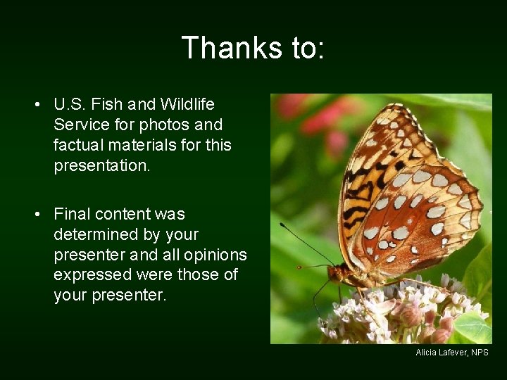 Thanks to: • U. S. Fish and Wildlife Service for photos and factual materials