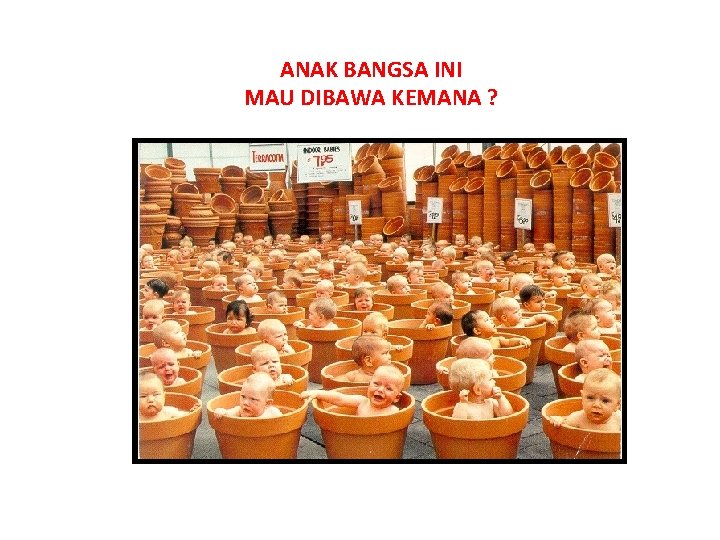 ANAK BANGSA INI MAU DIBAWA KEMANA ? 