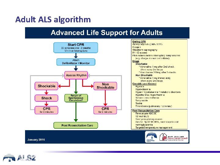 Adult ALS algorithm 