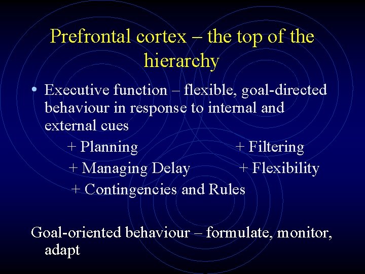 Prefrontal cortex – the top of the hierarchy • Executive function – flexible, goal-directed