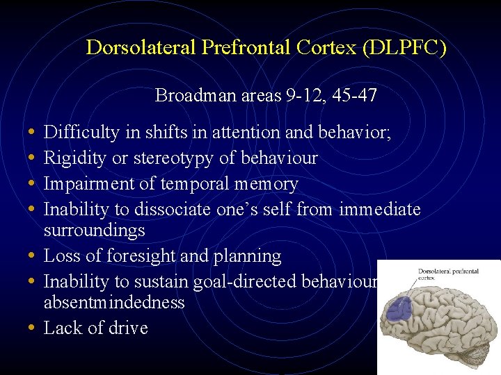 Dorsolateral Prefrontal Cortex (DLPFC) Broadman areas 9 -12, 45 -47 • • Difficulty in