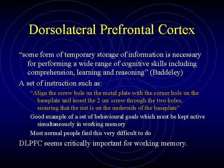 Dorsolateral Prefrontal Cortex “some form of temporary storage of information is necessary for performing
