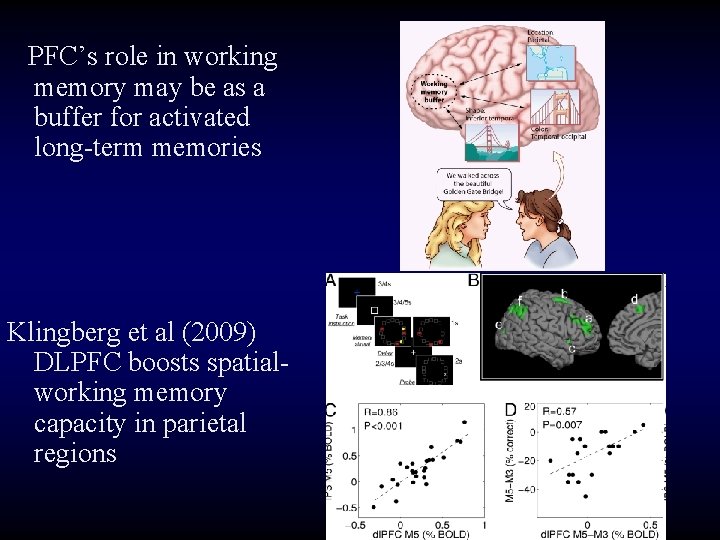 PFC’s role in working memory may be as a buffer for activated long-term memories