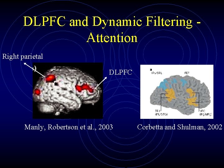 DLPFC and Dynamic Filtering Attention Right parietal DLPFC Manly, Robertson et al. , 2003