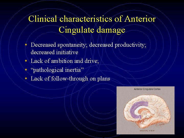 Clinical characteristics of Anterior Cingulate damage • Decreased spontaneity; decreased productivity; decreased initiative •