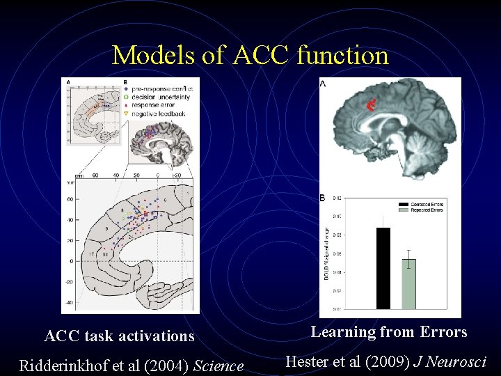 Models of ACC function ACC task activations Ridderinkhof et al (2004) Science Learning from