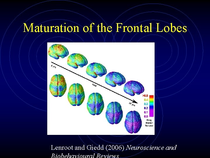 Maturation of the Frontal Lobes Lenroot and Giedd (2006) Neuroscience and 