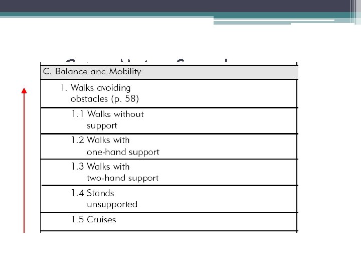 Gross Motor Sample 