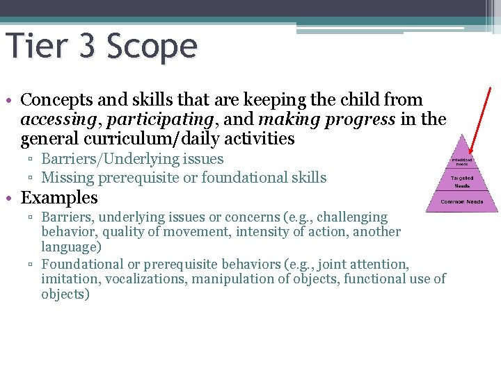 Tier 3 Scope • Concepts and skills that are keeping the child from accessing,