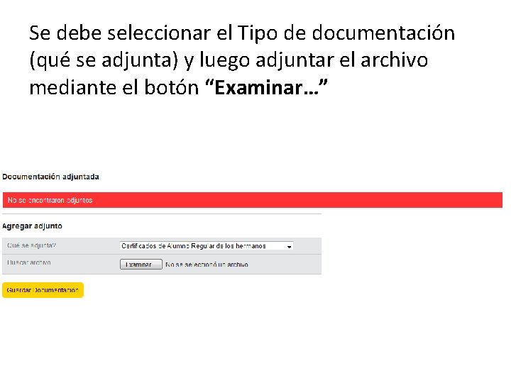 Se debe seleccionar el Tipo de documentación (qué se adjunta) y luego adjuntar el