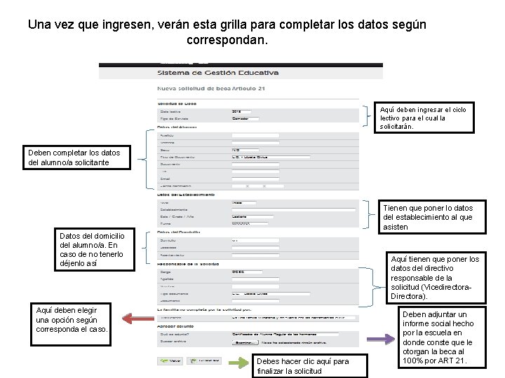 Una vez que ingresen, verán esta grilla para completar los datos según correspondan. Aquí