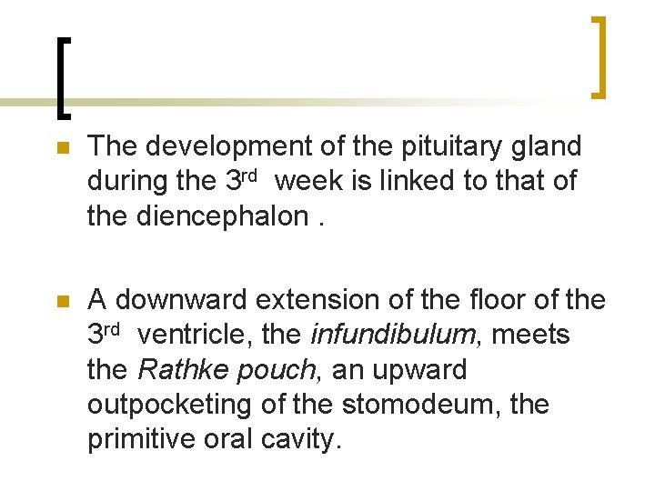 n The development of the pituitary gland during the 3 rd week is linked