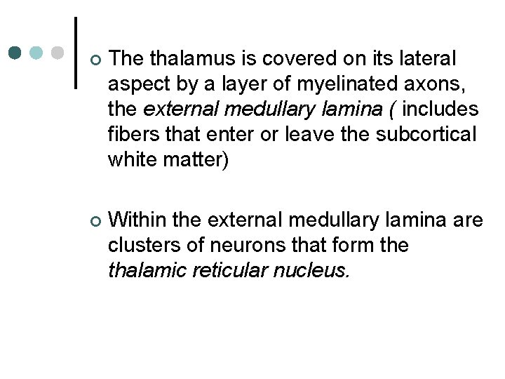 ¢ The thalamus is covered on its lateral aspect by a layer of myelinated