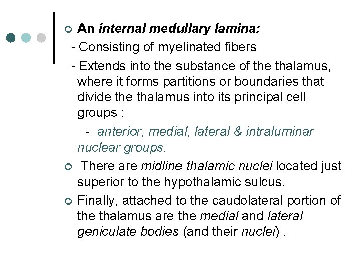 An internal medullary lamina: - Consisting of myelinated fibers - Extends into the substance