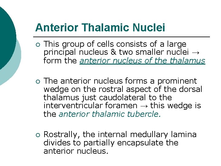 Anterior Thalamic Nuclei ¡ This group of cells consists of a large principal nucleus