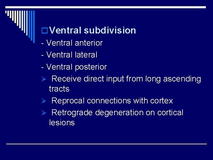 o Ventral subdivision - Ventral anterior - Ventral lateral - Ventral posterior Ø Receive