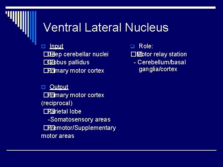 Ventral Lateral Nucleus o Input �� Deep cerebellar nuclei �� Globus pallidus �� Primary