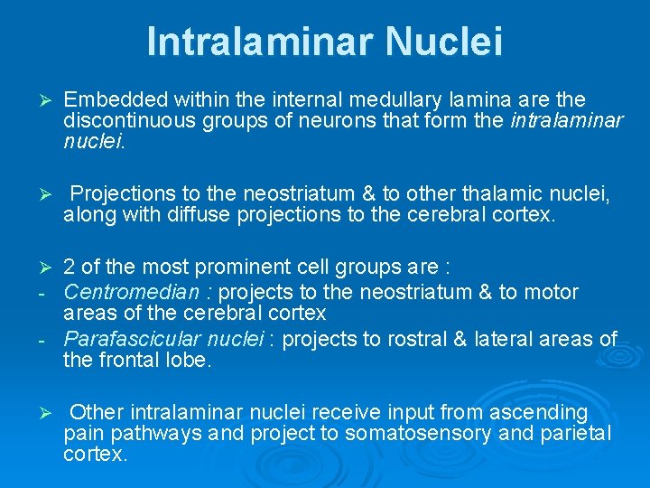 Intralaminar Nuclei Ø Embedded within the internal medullary lamina are the discontinuous groups of