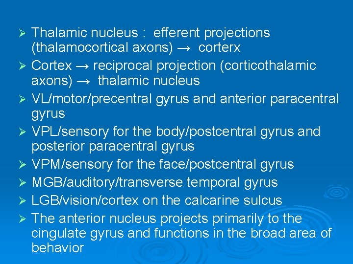 Thalamic nucleus : efferent projections (thalamocortical axons) → corterx Ø Cortex → reciprocal projection