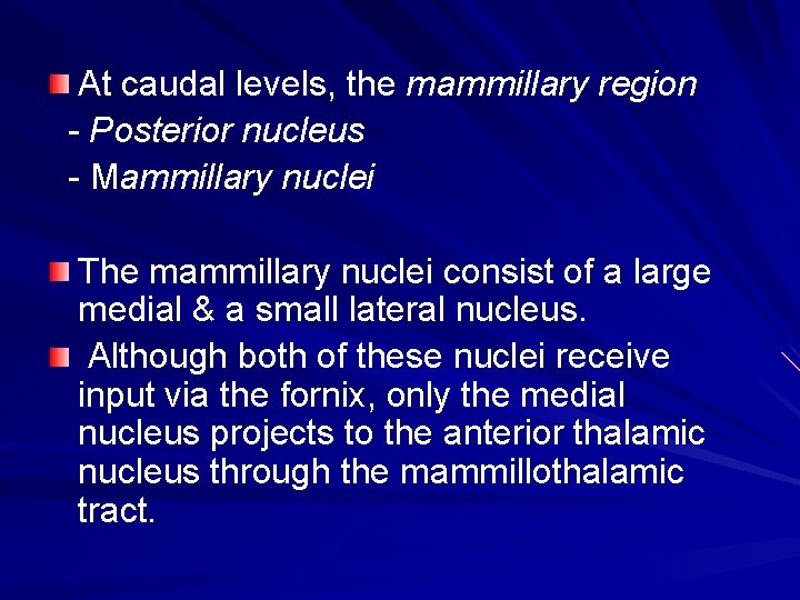 At caudal levels, the mammillary region - Posterior nucleus - Mammillary nuclei The mammillary