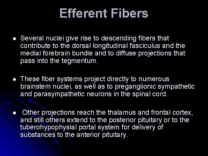 Efferent Fibers l Several nuclei give rise to descending fibers that contribute to the