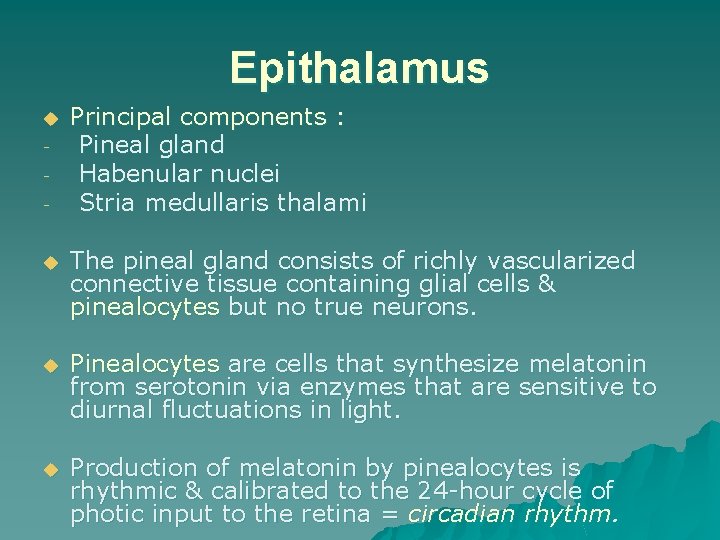 Epithalamus u - Principal components : Pineal gland Habenular nuclei Stria medullaris thalami u