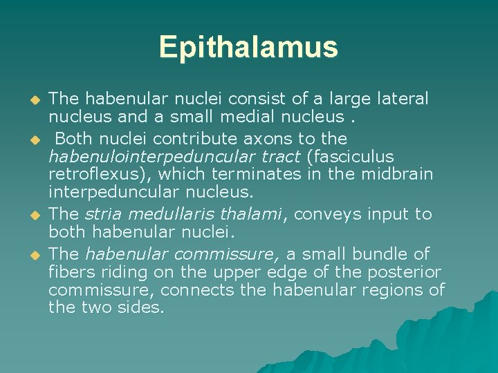 Epithalamus u u The habenular nuclei consist of a large lateral nucleus and a