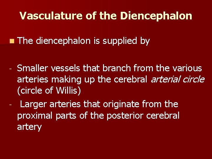 Vasculature of the Diencephalon n The diencephalon is supplied by Smaller vessels that branch