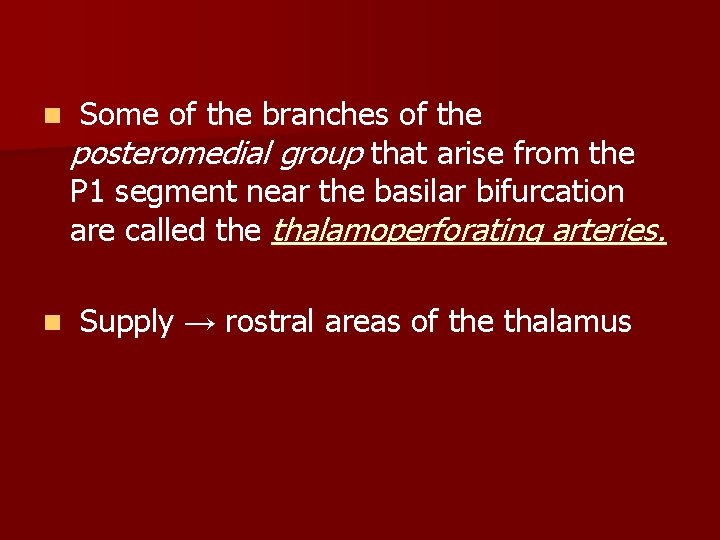 n n Some of the branches of the posteromedial group that arise from the