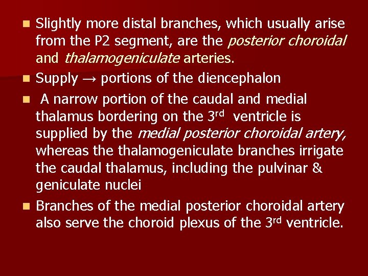 n n Slightly more distal branches, which usually arise from the P 2 segment,