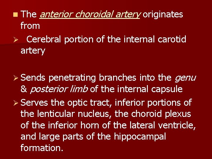 n The anterior choroidal artery originates from Ø Cerebral portion of the internal carotid