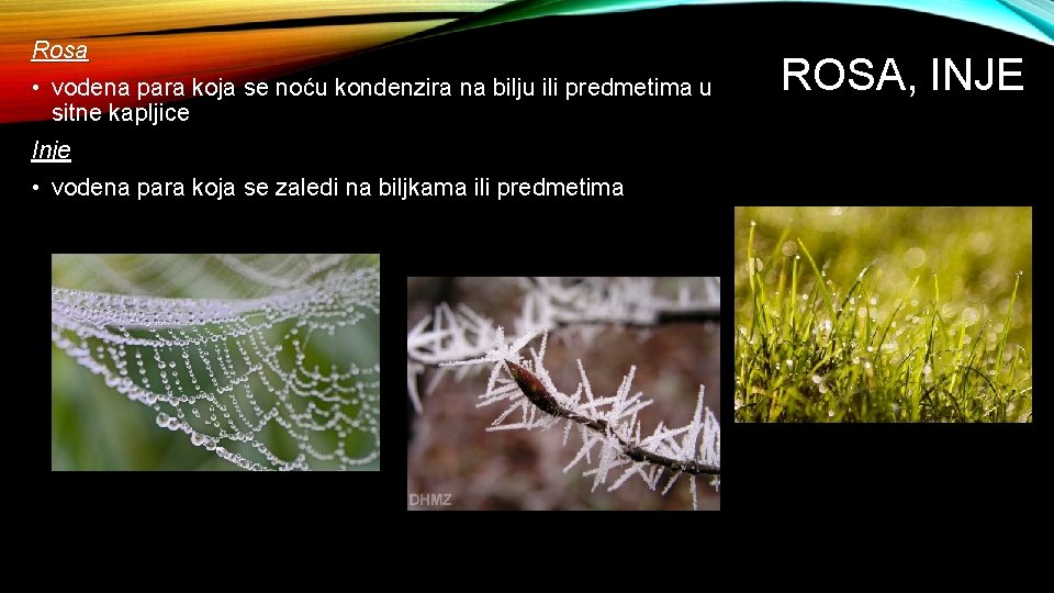 Rosa • vodena para koja se noću kondenzira na bilju ili predmetima u sitne