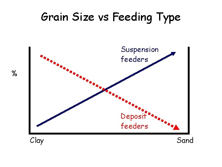 Grain Size vs Feeding Type Suspension feeders % Deposit feeders Clay Sand 