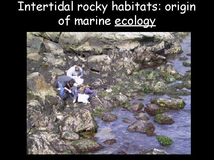 Intertidal rocky habitats: origin of marine ecology 