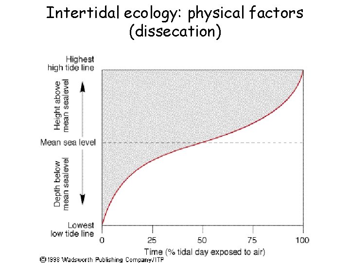 Intertidal ecology: physical factors (dissecation) 